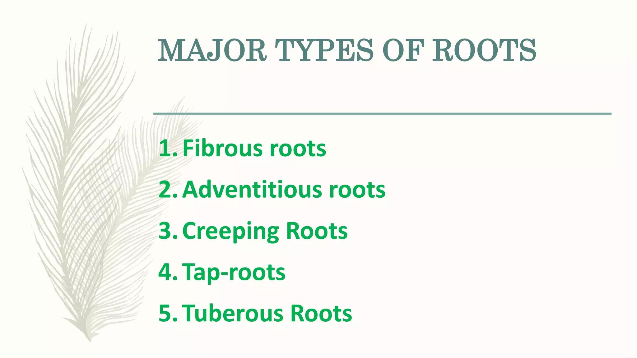 MAJOR TYPES OF ROOTS
1.Fibrous roots
2.Adventitious roots
3.Creeping Roots
4.Tap-roots
5.Tuberous Roots
 