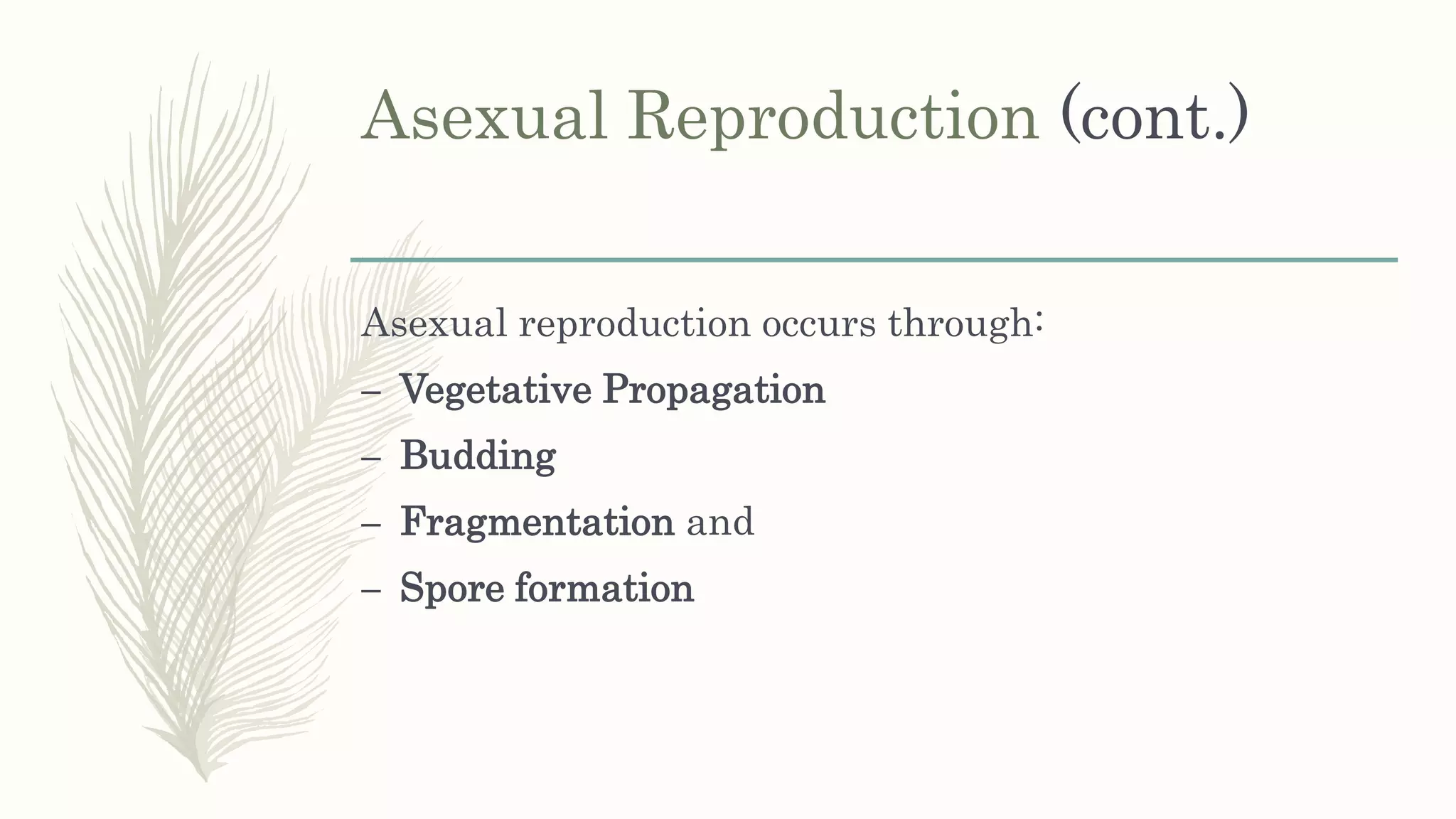 Asexual Reproduction (cont.)
Asexual reproduction occurs through:
– Vegetative Propagation
– Budding
– Fragmentation and
– Spore formation
 