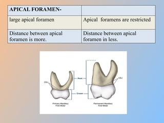 Morphological difference between primary and permanent teeth final.pptx