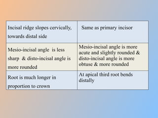 Normal Crown Slopes Morphological difference between primary and permanent teeth final.pptx