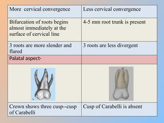 Morphological difference between primary and permanent teeth final.pptx