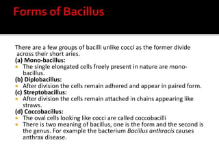 There are a few groups of bacilli unlike cocci as the former divide
across their short aries.
(a) Mono-bacillus:
 The single elongated cells freely present in nature are mono-
bacillus.
(b) Diplobacillus:
 After division the cells remain adhered and appear in paired form.
(c) Streptobacillus:
 After division the cells remain attached in chains appearing like
straws.
(d) Coccobacillus:
 The oval cells looking like cocci are called coccobacilli
 There is two meaning of bacillus, one is the form and the second is
the genus. For example the bacterium Bacillus anthracis causes
anthrax disease.
 