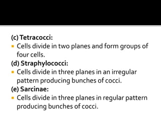 (c)Tetracocci:
 Cells divide in two planes and form groups of
four cells.
(d) Straphylococci:
 Cells divide in three planes in an irregular
pattern producing bunches of cocci.
(e) Sarcinae:
 Cells divide in three planes in regular pattern
producing bunches of cocci.
 