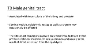 Morphological features of tuberculosis | PPTX