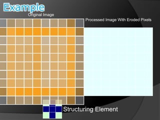 Structuring Element 
Original Image 
Processed Image With Eroded Pixels 
Example 
 
