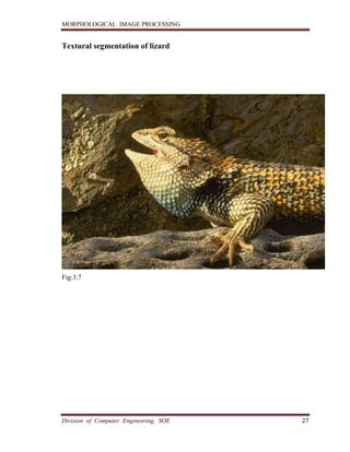 Morphological Image Processing | PDF