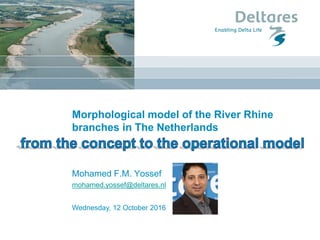 Wednesday, 12 October 2016
Morphological model of the River Rhine
branches in The Netherlands
Mohamed F.M. Yossef
mohamed.yossef@deltares.nl
 