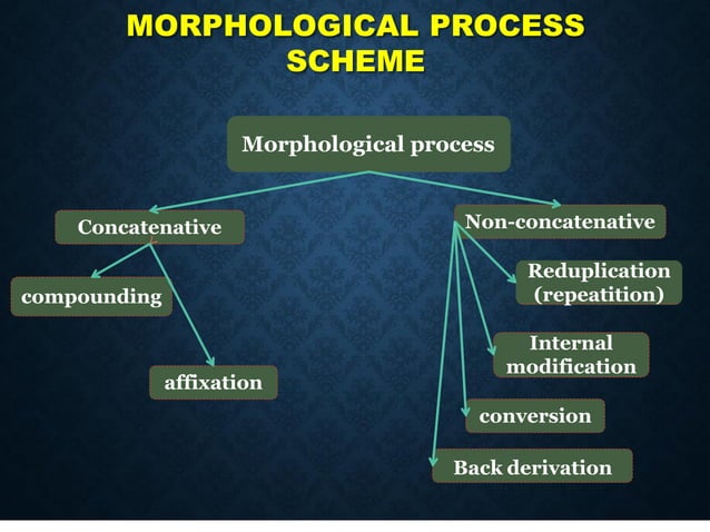 MORPHOLOGICAL PROCESS | PDF | Geology | Science