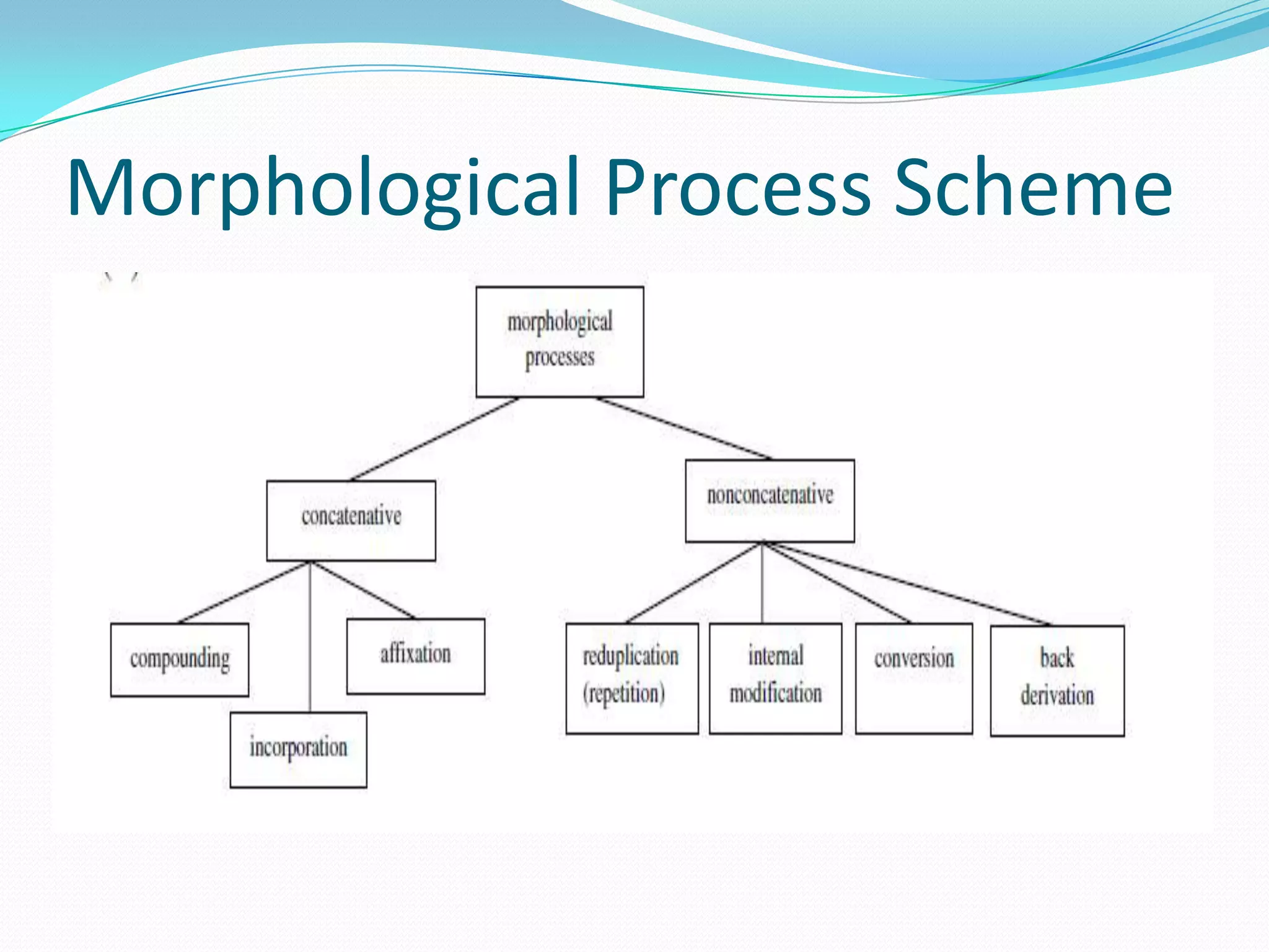 Morphological Process Scheme
 