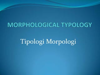 Tipologi Morpologi
 