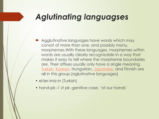 Comprehensive Overview of Morphological Types of Languages and Their ...