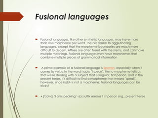 Comprehensive Overview of Morphological Types of Languages and Their ...