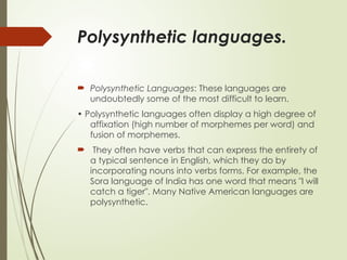 Comprehensive Overview of Morphological Types of Languages and Their ...