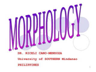 MORPHOLOGY DR. RICELI CANO-MENDOZA University of SOUTHERN Mindanao PHILIPPINES 