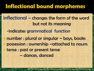 inflectional – changes the form of the word
                     but not its meaning
    -indicates grammatical function
   number : plural or singular – boys, books
   possession : ownership –attached to nouns
   tense : past or present tense
            – dances, danced

              PBET 1101 TESL Program Faculty of Education Universiti Malaya Dr. Jessie Grace U Rubrico/260810
 