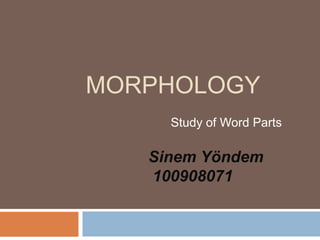 MORPHOLOGY
     Study of Word Parts

   Sinem Yöndem
   100908071
 