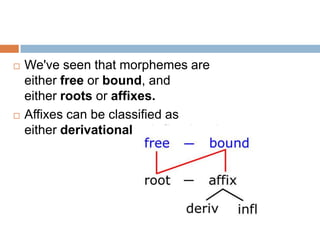    We've seen that morphemes are
    either free or bound, and
    either roots or affixes.
   Affixes can be classified as
    either derivational or inflectional
 