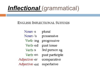 Inflectional (grammatical)
 