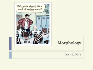 Morphology

  Oct 19, 2011
 