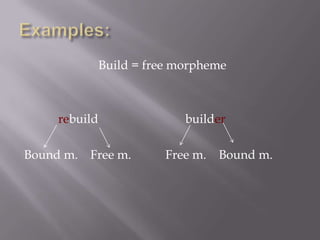 Build = free morpheme



     rebuild                 builder

Bound m.   Free m.        Free m.   Bound m.
 