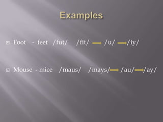    Foot - feet /fut/   /fit/   /u/    /iy/



   Mouse - mice /maus/     /mays/    /au/    /ay/
 