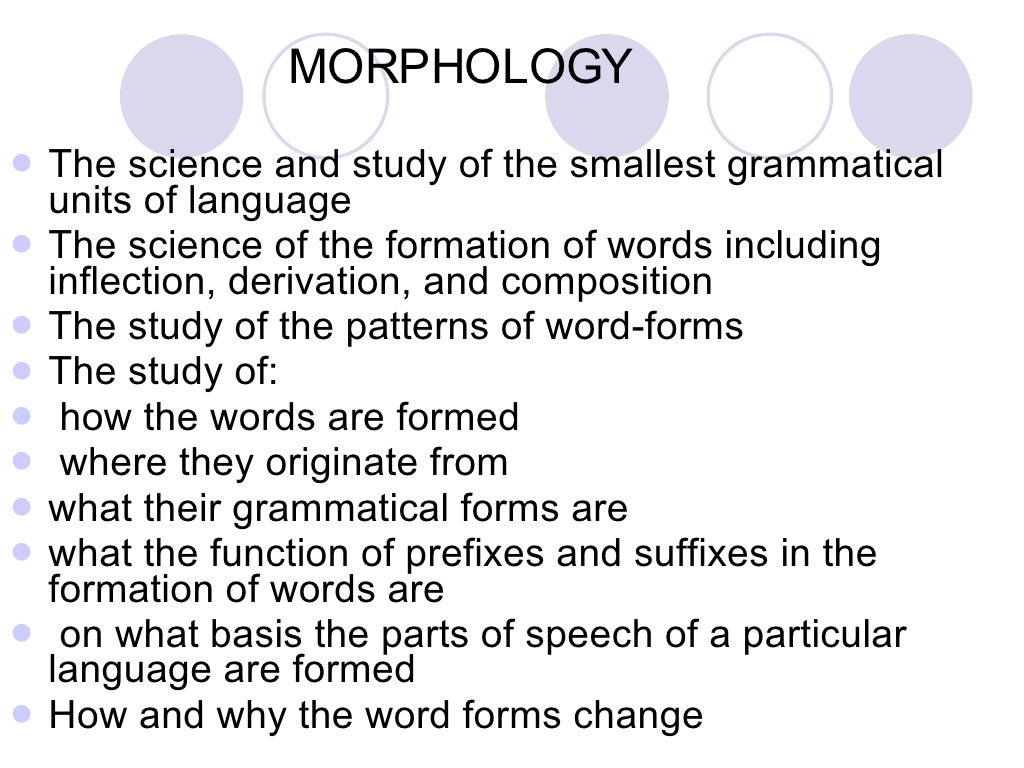 Morphology