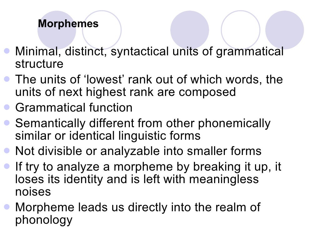 Morphology Definition Examples Britannica Com Vrogue Co Morphology Definition Examples Britannica Com Vrogue Co