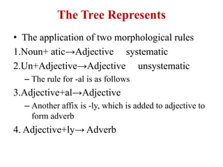 Adjactive Tree A Brief Introduction of Morphology | PPTX