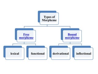 Types of
Morpheme
Free
morpheme
lexical functional
Bound
morpheme
derivational inflectional
 