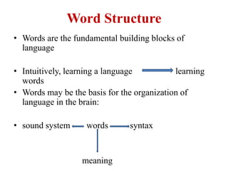 Word Structure
• Words are the fundamental building blocks of
language
• Intuitively, learning a language learning
words
•...