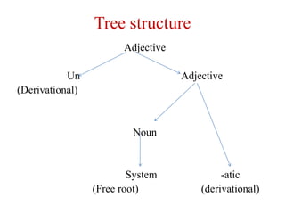 Tree structure
Adjective
Un Adjective
(Derivational)
Noun
System -atic
(Free root) (derivational)
 