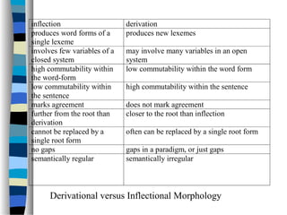 Morphology | PPT