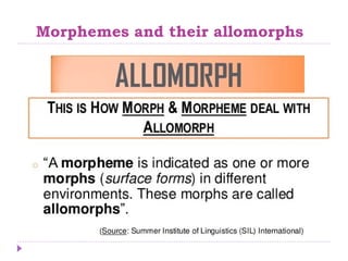 Morphemes and their allomorphs 
 
