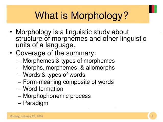 morphology definition linguistics morphology definition linguistics