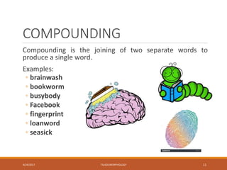 COMPOUNDING
Compounding is the joining of two separate words to
produce a single word.
Examples:
◦ brainwash
◦ bookworm
◦ busybody
◦ Facebook
◦ fingerprint
◦ loanword
◦ seasick
4/24/2017 TSL426 MORPHOLOGY 11
 