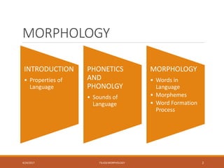 MORPHOLOGY
INTRODUCTION
• Properties of
Language
PHONETICS
AND
PHONOLGY
• Sounds of
Language
MORPHOLOGY
• Words in
Language
• Morphemes
• Word Formation
Process
4/24/2017 TSL426 MORPHOLOGY 2
 