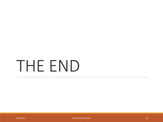 THE END
4/24/2017 TSL426 MORPHOLOGY 27
 