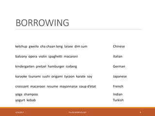 BORROWING
4/24/2017 TSL426 MORPHOLOGY 9
ketchup gweilo cha chaan teng laisee dim sum Chinese
balcony opera violin spaghetti macaroni Italian
kindergarten pretzel hamburger iceberg German
karaoke tsunami sushi origami tycoon karate soy Japanese
croissant macaroon resume mayonnaise coup d’etat French
yoga shampoo Indian
yogurt kebab Turkish
 