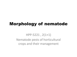 Morphology of nematode
HPP-5221 , 2(1+1)
Nematode pests of horticultural
crops and their management
 