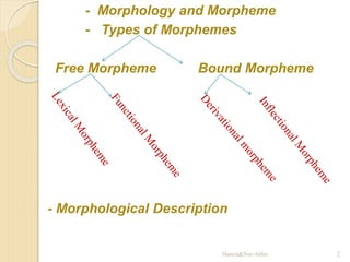 - Morphology and Morpheme
- Types of Morphemes
Free Morpheme Bound Morpheme
- Morphological Description
Hamza&Nur-Aldin 2
 