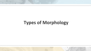 Types of Morphology
 