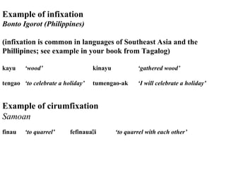 Morphology.2 in English and other word structures | PPT