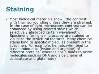 Staining
• Most biological materials show little contrast
with their surrounding unless they are strained.
In the case of light microscopy, contrast can be
enhanced by using colored stains which
selectively absorbed certain wavelength.
Specimens for light microscopy are stained to
visualize the structural features. Many chemical
stains bind to specific molecules present in the
specimen. For example, hematoxylin, bind to
basic amino acid (lysine and arginine) of
different proteins, whereas eosin binds to acidic
molecules such as DNA and side chains of
asparatate and glutamate)
 