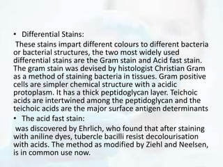 • Differential Stains:
These stains impart different colours to different bacteria
or bacterial structures, the two most widely used
differential stains are the Gram stain and Acid fast stain.
The gram stain was devised by histologist Christian Gram
as a method of staining bacteria in tissues. Gram positive
cells are simpler chemical structure with a acidic
protoplasm. It has a thick peptidoglycan layer. Teichoic
acids are intertwined among the peptidoglycan and the
teichoic acids are the major surface antigen determinants
• The acid fast stain:
was discovered by Ehrlich, who found that after staining
with aniline dyes, tubercle bacilli resist decolourisation
with acids. The method as modified by Ziehl and Neelsen,
is in common use now.
 