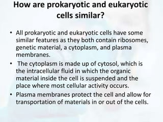 How are prokaryotic and eukaryotic
cells similar?
• All prokaryotic and eukaryotic cells have some
similar features as they both contain ribosomes,
genetic material, a cytoplasm, and plasma
membranes.
• The cytoplasm is made up of cytosol, which is
the intracellular fluid in which the organic
material inside the cell is suspended and the
place where most cellular activity occurs.
• Plasma membranes protect the cell and allow for
transportation of materials in or out of the cells.
 