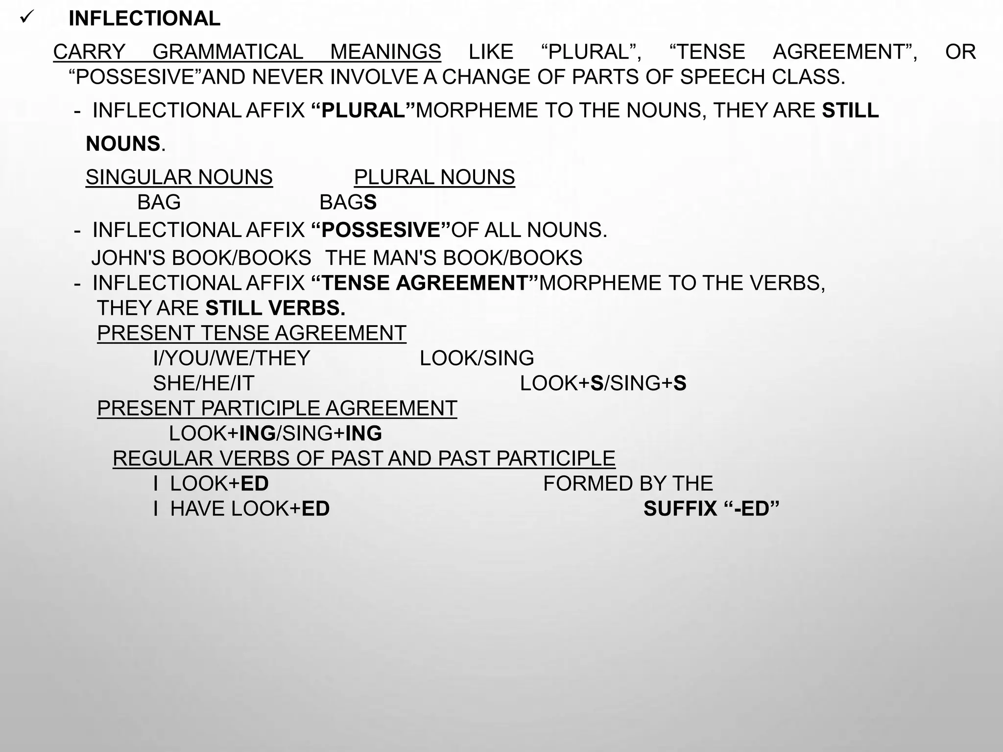 Morphology chapter 3 ppt morphology-chapter-3-ppt
