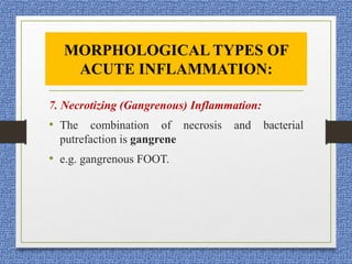 7. Necrotizing (Gangrenous) Inflammation:
• The combination of necrosis and bacterial
putrefaction is gangrene
• e.g. gangrenous FOOT.
MORPHOLOGICAL TYPES OF
ACUTE INFLAMMATION:
 