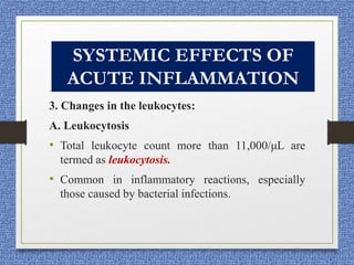 3. Changes in the leukocytes:
A. Leukocytosis
• Total leukocyte count more than 11,000/μL are
termed as leukocytosis.
• Common in inflammatory reactions, especially
those caused by bacterial infections.
SYSTEMIC EFFECTS OF
ACUTE INFLAMMATION
 