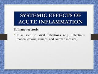 B. Lymphocytosis:
• It is seen in viral infections (e.g. Infectious
mononucleosis, mumps, and German measles).
SYSTEMIC EFFECTS OF
ACUTE INFLAMMATION
 