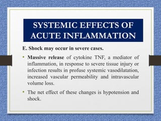 SYSTEMIC EFFECTS OF
INFLAMMATION
E. Shock may occur in severe cases.
• Massive release of cytokine TNF, a mediator of
inflammation, in response to severe tissue injury or
infection results in profuse systemic vasodilatation,
increased vascular permeability and intravascular
volume loss.
• The net effect of these changes is hypotension and
shock.
SYSTEMIC EFFECTS OF
ACUTE INFLAMMATION
 